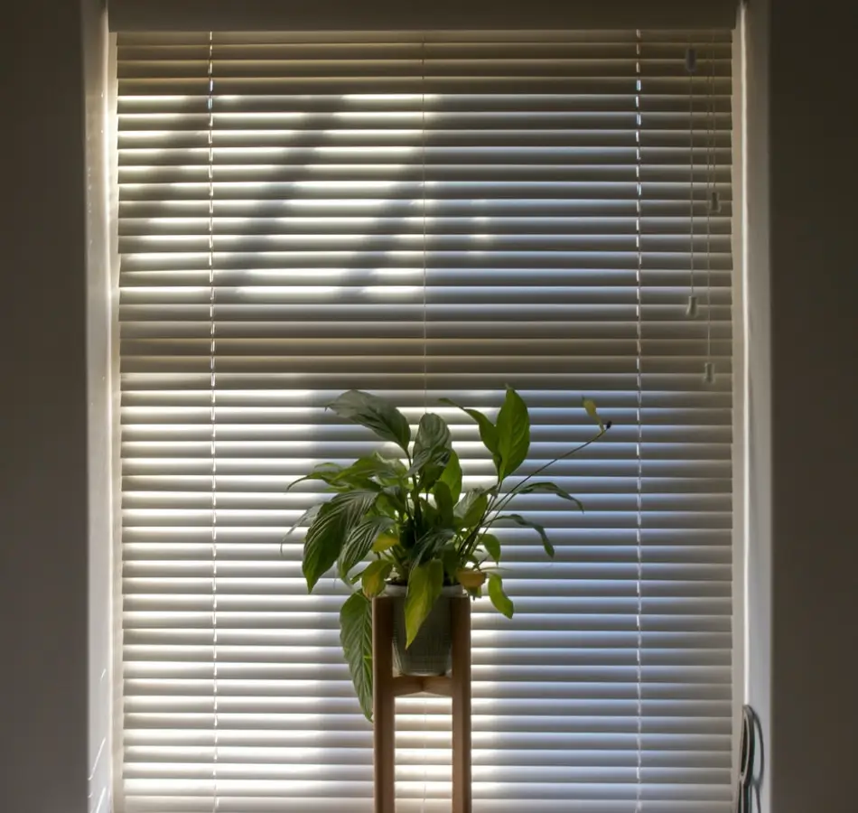 can-i-replace-the-blinds-in-my-apartment