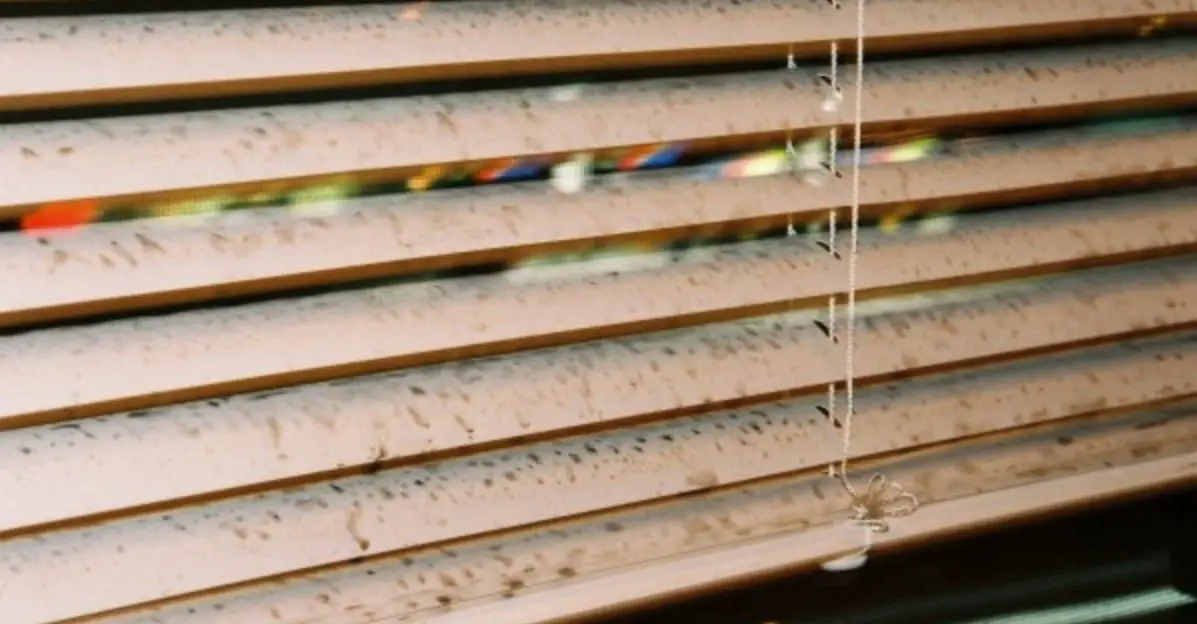 how-to-clean-really-dirty-mini-blinds