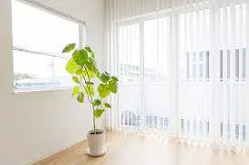 which-types-of-blinds-last-longer