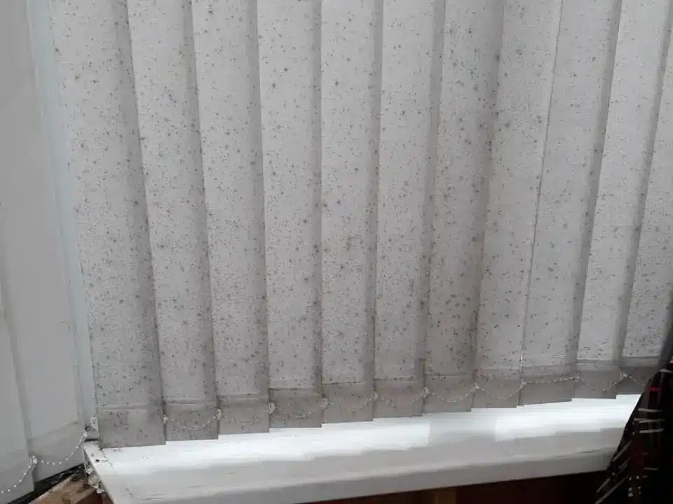 how-to-clean-moldy-blinds