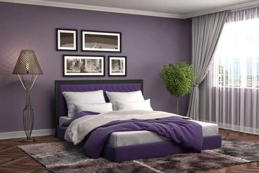 what-color-curtains-for-purple-walls