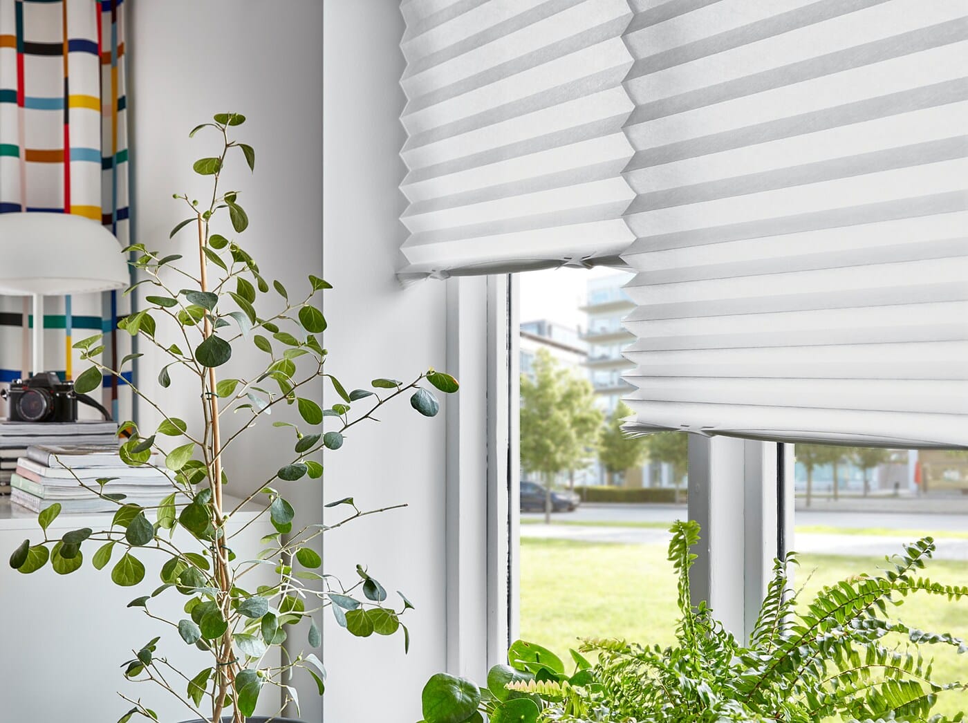 how-to-keep-schottis-blinds-up