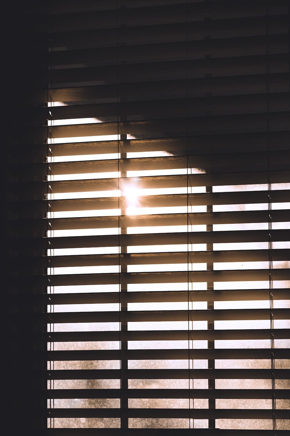 can-plants-get-sunlight-through-blinds